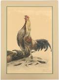 Leon Danchin Colored Etching The Cock Fight