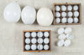 Group of egg carriers and glass eggs