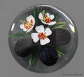 Rick Ayotte plum paperweight