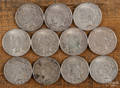 Eleven silver Peace dollars
