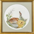 Watercolor portrait of a quail family