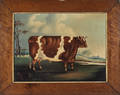 English oil on canvas portrait of a prized cow 19th c