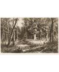 IVAN IVANOVICH SHISHKIN 18321898 Chernolesye