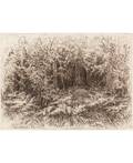 IVAN IVANOVICH SHISHKIN 18321898 In the Thicket