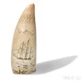 Scrimshaw Whales Tooth Decorated with a Whaling Scene