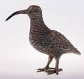 Polychrome Vienna Bronze Kiwi Bird Statue