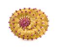 An 18 Karat Yellow Gold and Ruby Brooch Italian