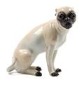 A Meissen Porcelain Model of a Pug