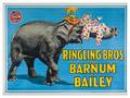 CIRCUS RINGLING BROTHERS AND BARNUM  BAILEY