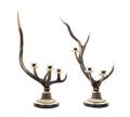 A Pair of English Horn Three Light Candelabra