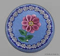Paul Ysart single flower paperweight with a millefiori border