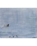 LEV MESHBERG RUSSIAN 19332007 Elba Island Three Seagulls