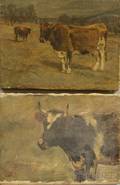 Charles Franklin Pierce American 18441920 Two Works Head of a Cow