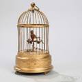 Birdcage Automaton