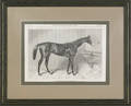 Five miscellaneous horse prints and engravings