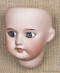 SFBJ French bisque doll head