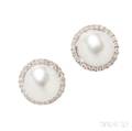 18kt White Gold South Sea Pearl and Diamond Earstuds