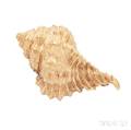 18kt Gold Seashell Brooch Kurt Wayne