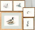 Five Framed J Polsano Engravings of Birds