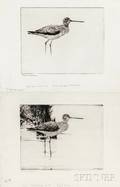 Frank Weston Benson American 18621951 Two Impressions of Yellowlegs No 4
