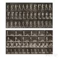 Eadweard Muybridge British 18301904 Two Plates from Animal Locomotion  Plate 78 Woman with a Fan Walking up a Ramp