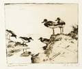 Frank Weston Benson American 18621951 Study of Turnstones