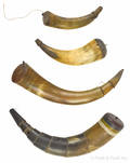 Four carved powder horns