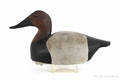 Carved and painted canvasback duck decoy