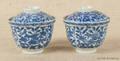 Chinese blue and white porcelain tea cups and covers