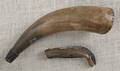 Scrimshaw powder horn dated