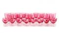 Set of Cranberry Optic Glasses by George Borgfeldt