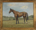 Luca W Lucas British 20th c oil on canvas portrait of the horse