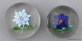 Two antique poinsettia paperweights