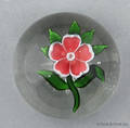 Antique Baccarat primrose paperweight