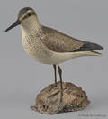 Lloyd Johnson carved and painted Pectoral Sandpiper