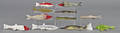 Eleven contemporary carved and painted fish decoys