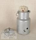 Cat in a milk pail musical automaton