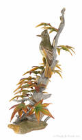 Boehm porcelain Crested Flycatcher bird sculpture