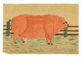 Pencil and watercolor drawing of a pig early 20th c