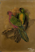 Painting on slate of parrots