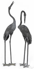 Pair of Oriental bronze cranes