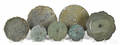 Seven Chinese archaistic bronze mirrors