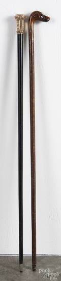 Two walking sticks