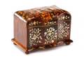 Regency Tortoise Shell  MotherofPearl Tea Caddy