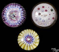 Three antique glass paperweights