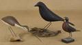 Three contemporary carved and painted birds