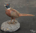 Carved and painted pine pheasant