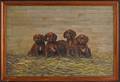 Oil on board of five puppies