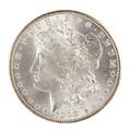 Silver Morgan dollar coin