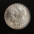 Silver Morgan dollar coin